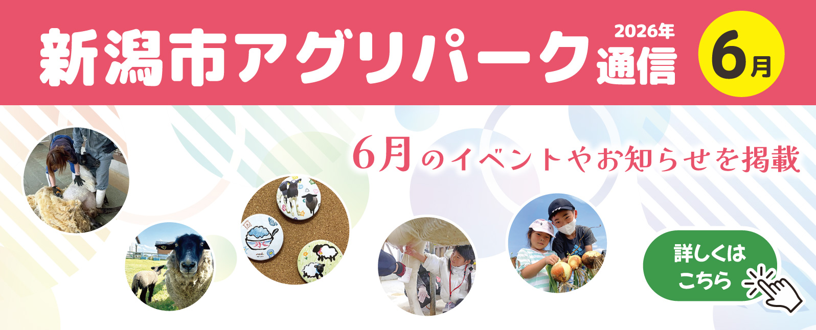 アグリ通信6月号